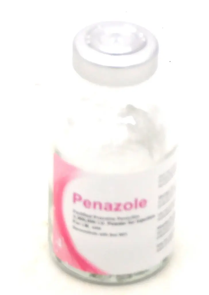 Procaine Penicillin Injection Vial (Penazole)