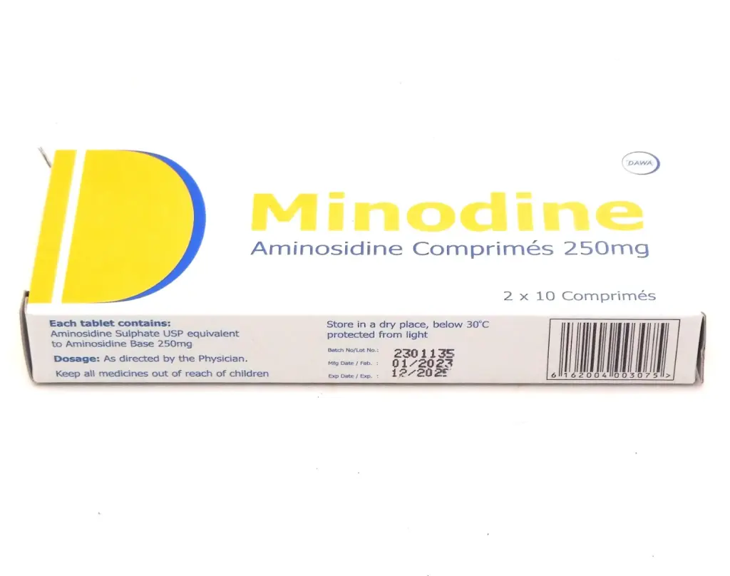 Aminosidine 250mg Tablets (Minodine)