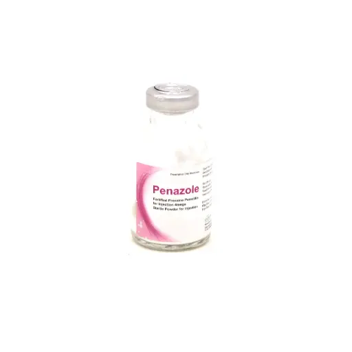 Procaine Penicillin Injection Vial (Penazole)